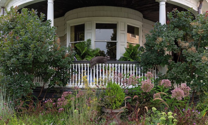 Kingston Bed & Breakfast | Heddwyn House