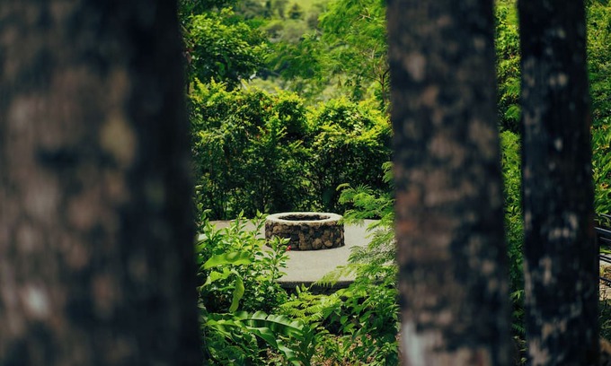 Mambajao Other | Matahom Forest Glamping Tent 1