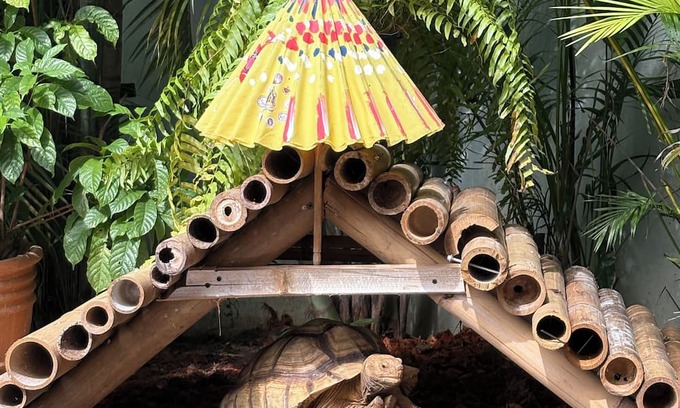 Mae Pong Resort | Capybara Zen Resort And Spa