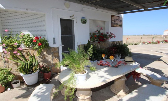 Deltebre Cottage | Gite Deltebre, 2 bedrooms, 5 persons