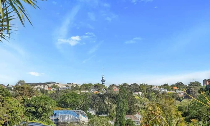 Remuera House | Garden in the city