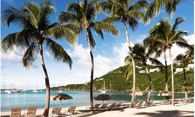 Estate Bellevue Resort | Westin St. John Resort🌴1 BR Villa🏖️