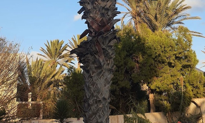 Aghir House | Dar El Bahr