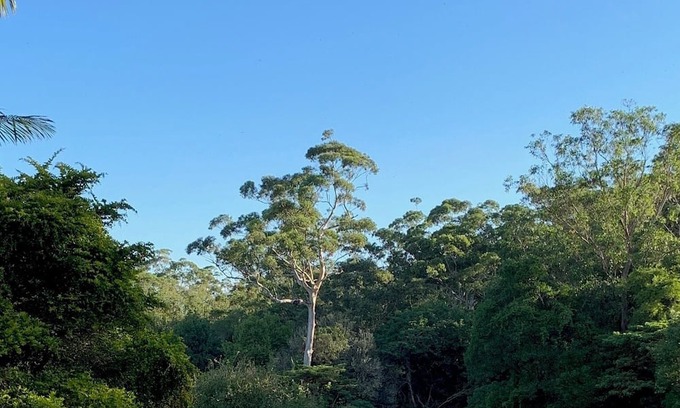 Maleny Cabin | Dads Art Studio