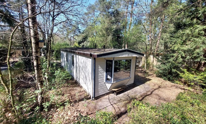 Hattemerbroek Ski Chalet | Forest cottage Dennenrust on the Veluwe in Hattemerbroek. Pets are welcome!