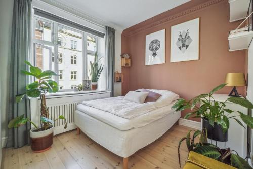 København N Apartment | Nyistandsat 1BR Lejlighed i Hjertet af Nørrebro