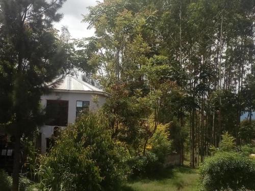 Arusha Bed & Breakfast | Jungle lodge