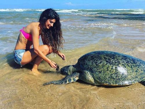 Nalagasdeniya House | Turtle Bay
